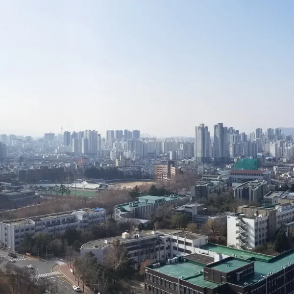 모던 보미룸 테라피 안내 이미지