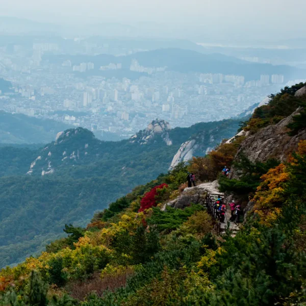 라운지 모먼트웰빙 테라피 안내 이미지