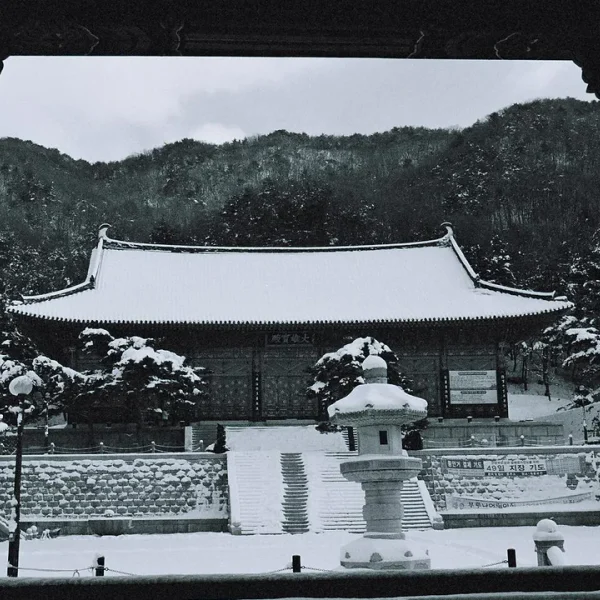 모던 은서룸 테라피 안내 이미지